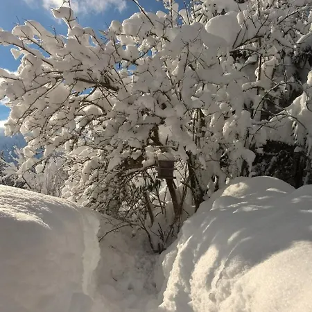 Appartement Bleisch *