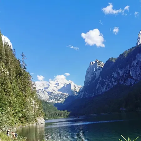 Bleisch * Gosau